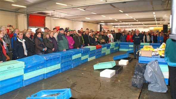 Fischauktionen für Touristen in der Auktionshalle in Hvide Sande